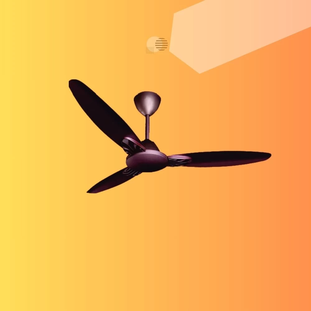 Category Thumbnail